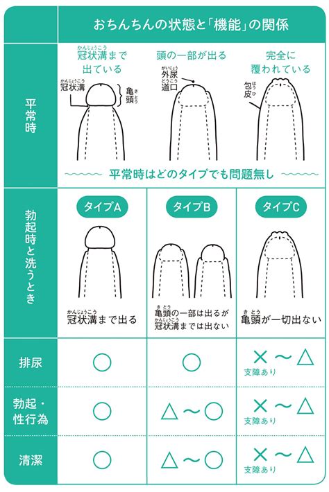 「皮を剥くってどこまで？」男児のむく・むかない問題の曖昧さ。